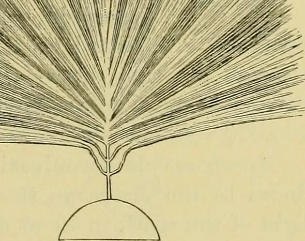 An illustration from Elementary treatise on electricity and magnetism :, 1905, leaf 157