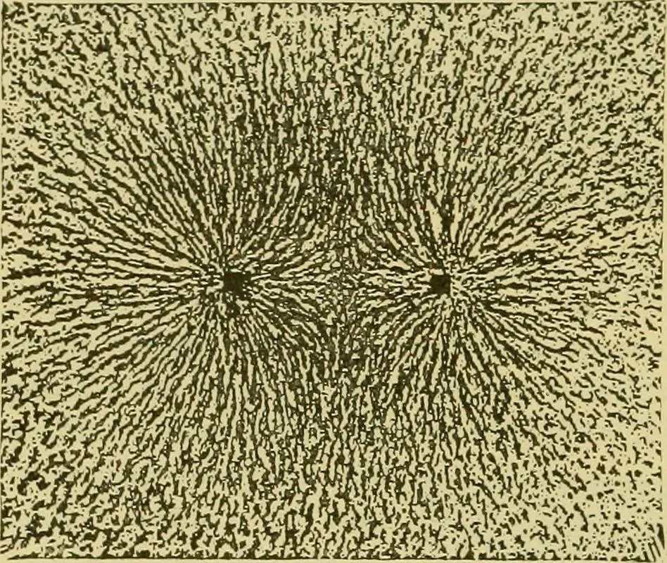 An illustration from Elementary treatise on electricity and magnetism :, 1905, leaf 264