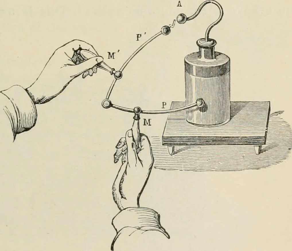 An illustration from Elementary treatise on electricity and magnetism : founded on Joubert's "Traité élémentaire d'électricité", 1909, leaf 100