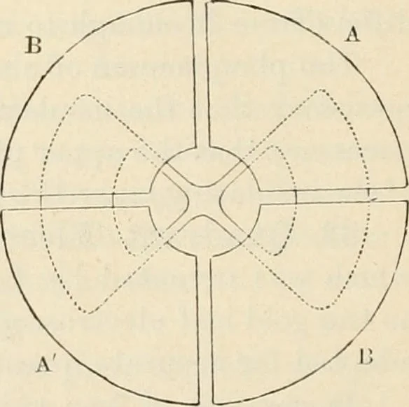 An illustration from Elementary treatise on electricity and magnetism : founded on Joubert's "Traité élémentaire d'électricité", 1909, leaf 145