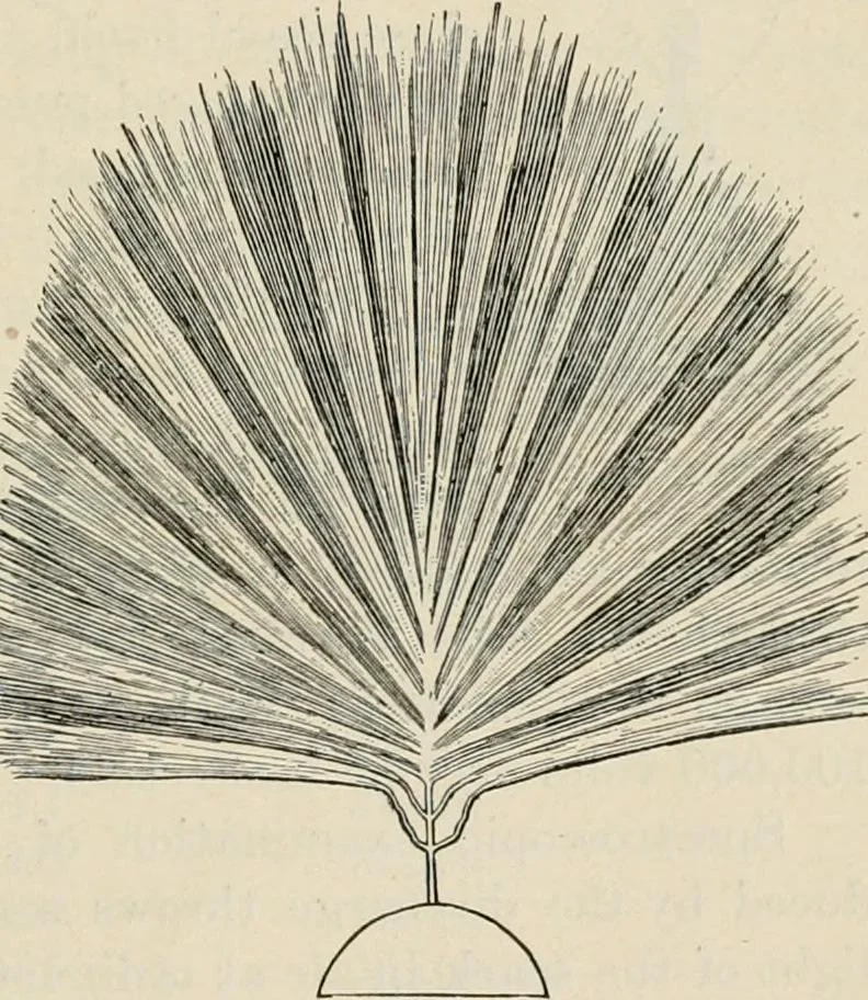 An illustration from Elementary treatise on electricity and magnetism : founded on Joubert's "Traité élémentaire d'électricité", 1909, leaf 166