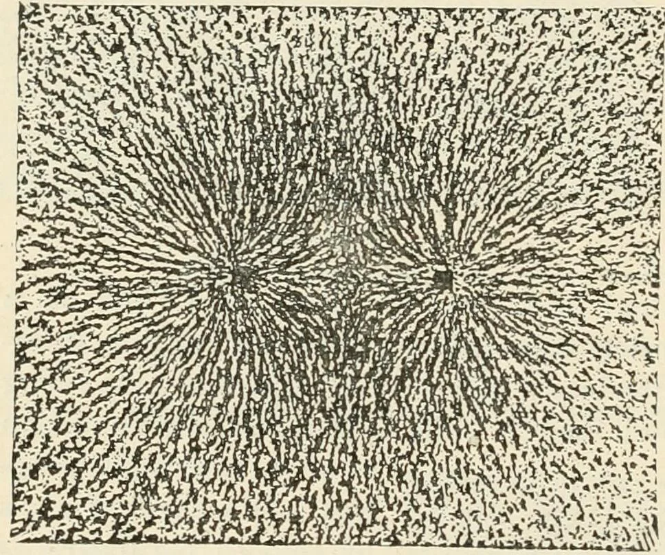 An illustration from Elementary treatise on electricity and magnetism : founded on Joubert's "Traité élémentaire d'électricité", 1909, leaf 289