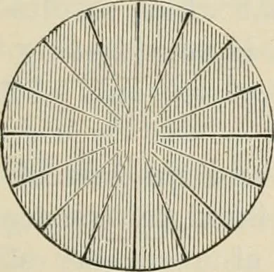An illustration from Elementary treatise on electricity and magnetism : founded on Joubert's "Traité élémentaire d'électricité", 1909, leaf 446