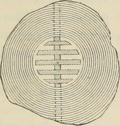 An illustration from Elementary treatise on electricity and magnetism : founded on Joubert's "Traité élémentaire d'électricité", 1909, leaf 508