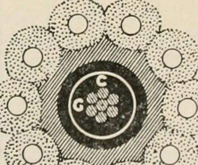 An illustration from Elementary treatise on electricity and magnetism : founded on Joubert's "Traité élémentaire d'électricité", 1909, leaf 592