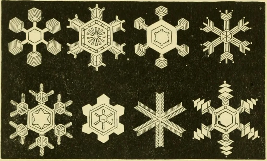 An illustration from Elementary treatise on physics experimental and applied for the use of colleges and schools, 1890, leaf 1041