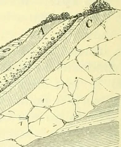 An illustration from Elementary treatise on physics experimental and applied for the use of colleges and schools, 1890, leaf 118