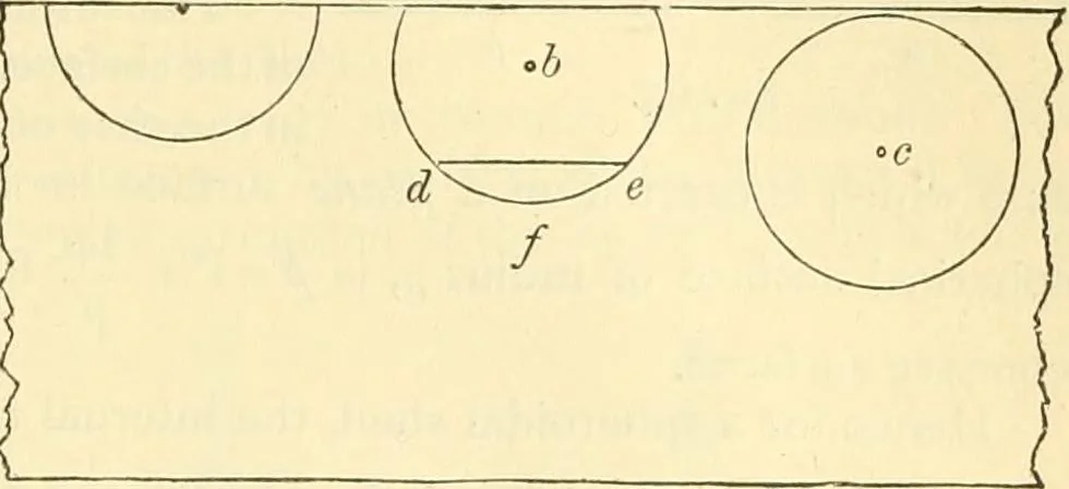 An illustration from Elementary treatise on physics experimental and applied for the use of colleges and schools, 1890, leaf 135