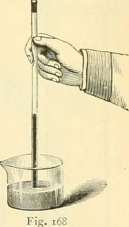 An illustration from Elementary treatise on physics experimental and applied for the use of colleges and schools, 1890, leaf 185