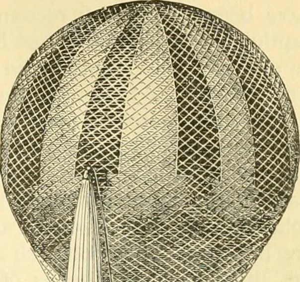 An illustration from Elementary treatise on physics experimental and applied for the use of colleges and schools, 1890, leaf 193