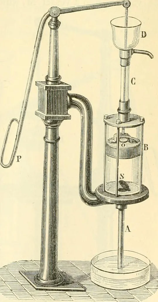 An illustration from Elementary treatise on physics experimental and applied for the use of colleges and schools, 1890, leaf 213