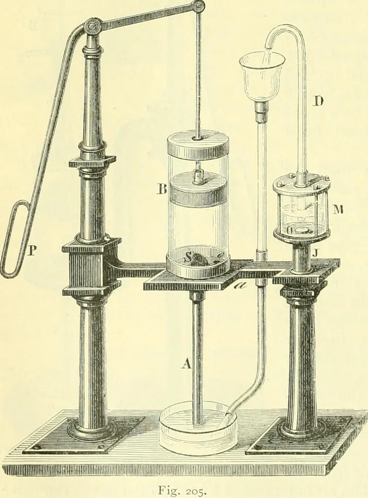 An illustration from Elementary treatise on physics experimental and applied for the use of colleges and schools, 1890, leaf 214