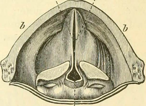 An illustration from Elementary treatise on physics experimental and applied for the use of colleges and schools, 1890, leaf 253