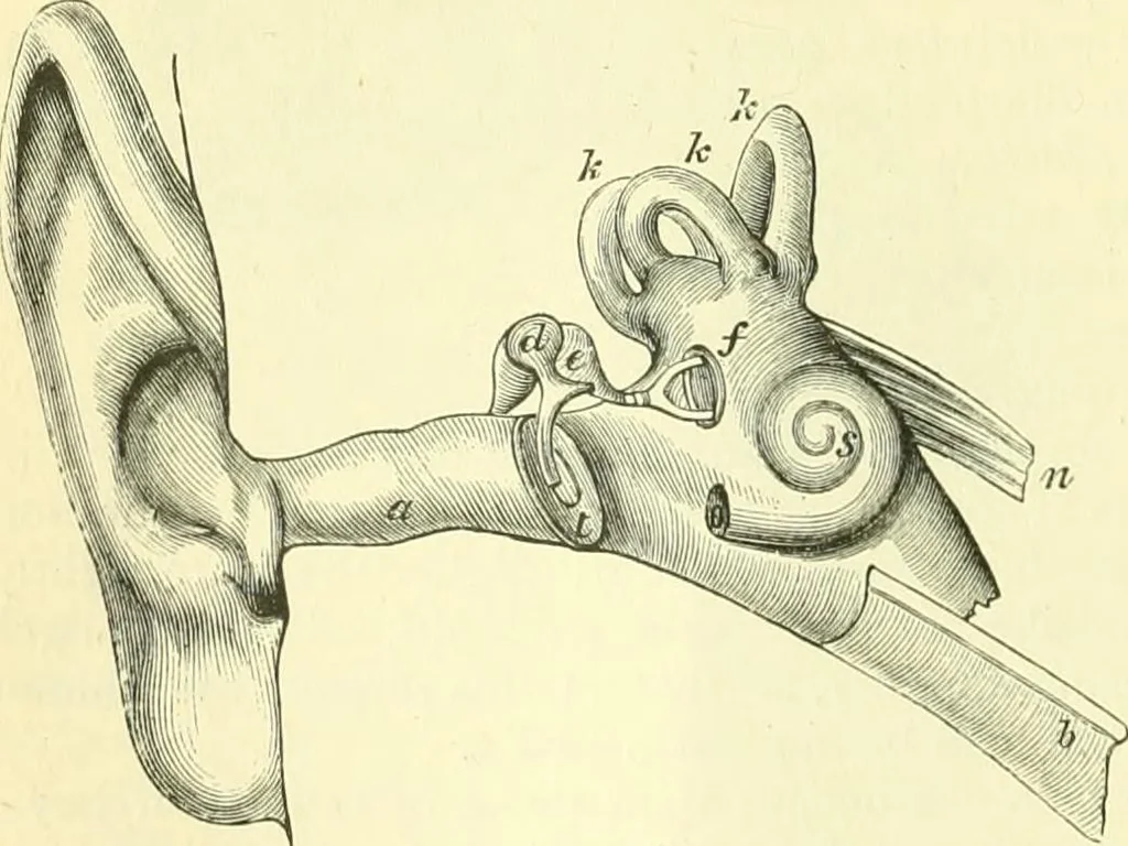 An illustration from Elementary treatise on physics experimental and applied for the use of colleges and schools, 1890, leaf 254