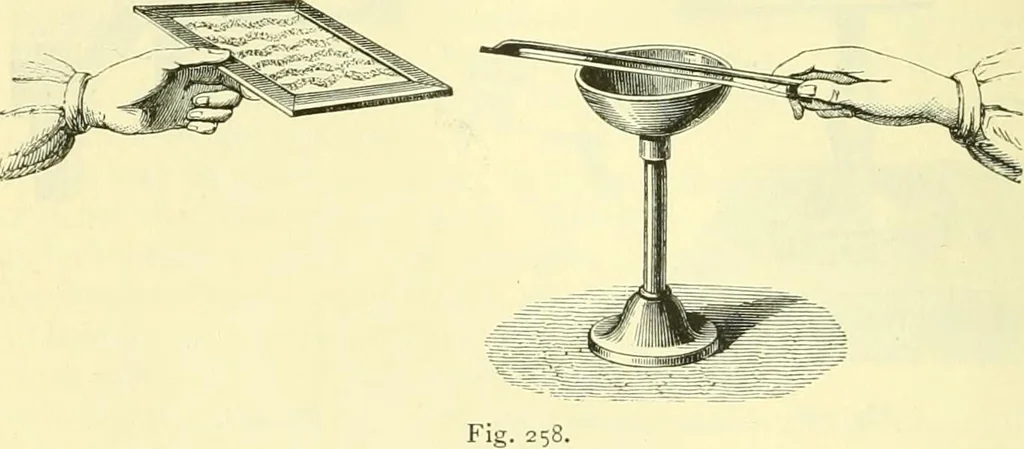 An illustration from Elementary treatise on physics experimental and applied for the use of colleges and schools, 1890, leaf 276