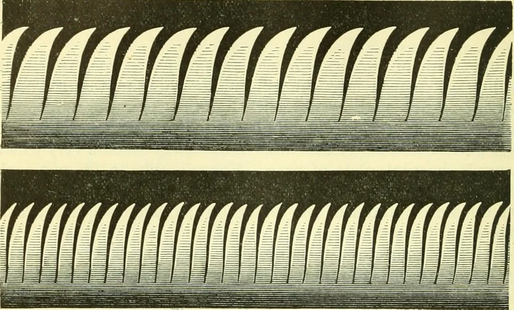 An illustration from Elementary treatise on physics experimental and applied for the use of colleges and schools, 1890, leaf 284