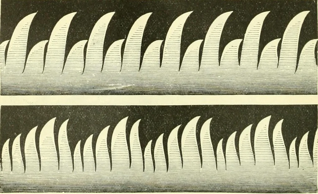 An illustration from Elementary treatise on physics experimental and applied for the use of colleges and schools, 1890, leaf 284