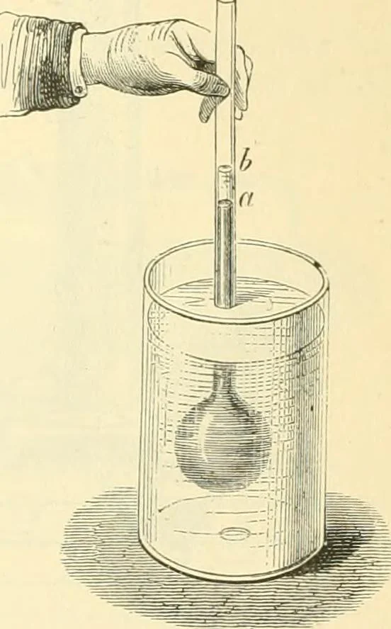 An illustration from Elementary treatise on physics experimental and applied for the use of colleges and schools, 1890, leaf 313