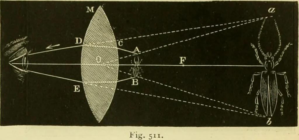 An illustration from Elementary treatise on physics experimental and applied for the use of colleges and schools, 1890, leaf 547