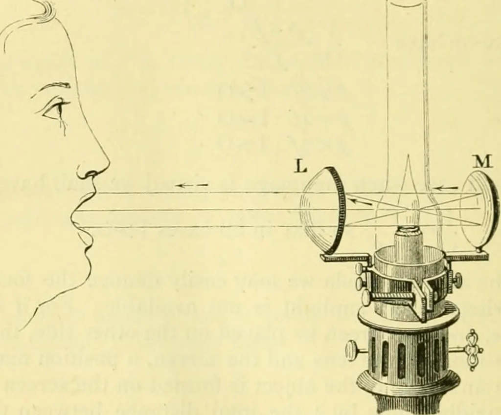 An illustration from Elementary treatise on physics experimental and applied for the use of colleges and schools, 1890, leaf 552