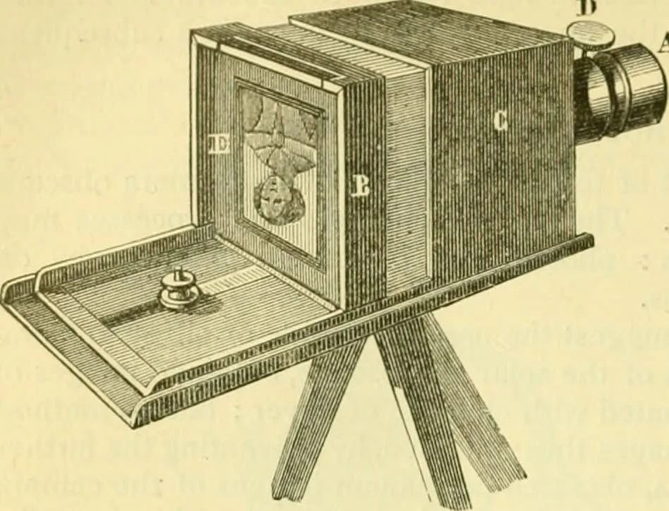 An illustration from Elementary treatise on physics experimental and applied for the use of colleges and schools, 1890, leaf 602