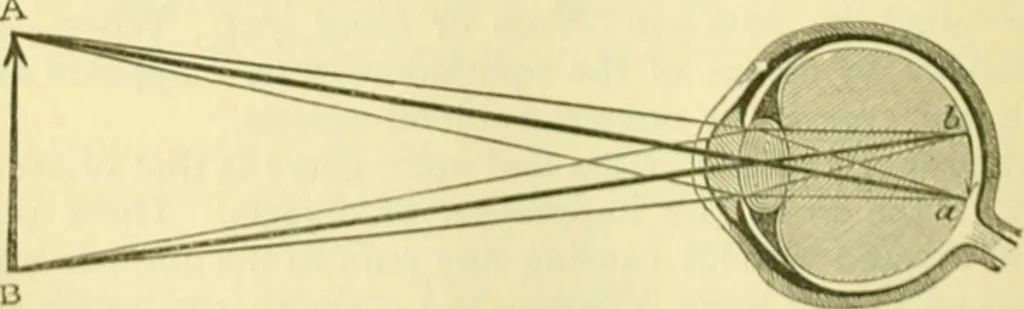 An illustration from Elementary treatise on physics experimental and applied for the use of colleges and schools, 1890, leaf 608