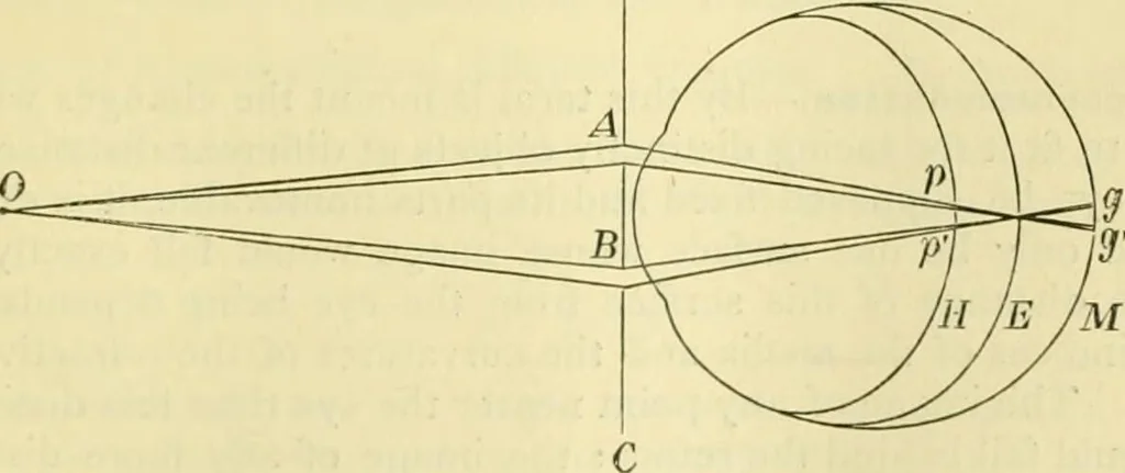 An illustration from Elementary treatise on physics experimental and applied for the use of colleges and schools, 1890, leaf 611