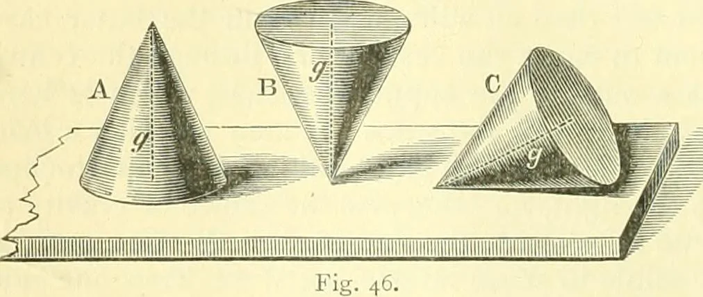 An illustration from Elementary treatise on physics experimental and applied for the use of colleges and schools, 1890, leaf 76