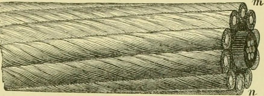 An illustration from Elementary treatise on physics experimental and applied for the use of colleges and schools, 1890, leaf 895