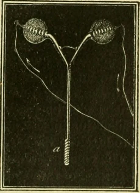 An illustration from Elementary treatise on physics experimental and applied for the use of colleges and schools, 1890, leaf 955