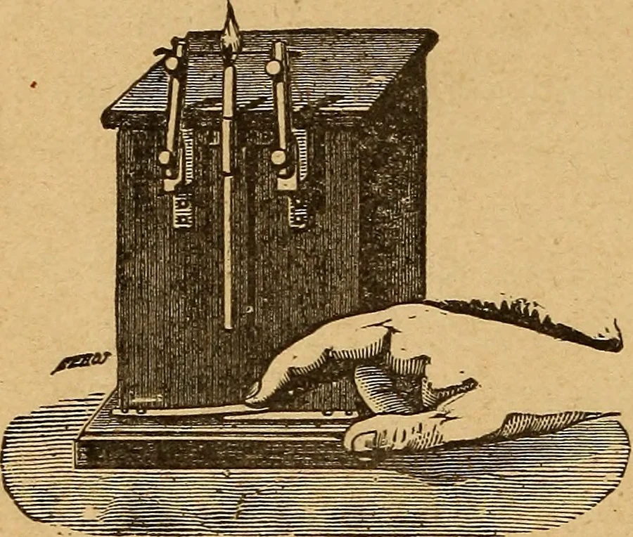 An illustration from Elementary treatise on electric batteries, 1880, leaf 269