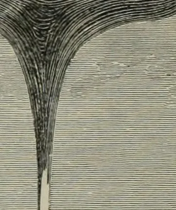 An illustration from Elementary treatise on physics, experimental and applied : for the use of colleges and schools, 1906, leaf 1114