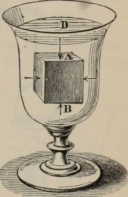 An illustration from Elementary treatise on physics, experimental and applied : for the use of colleges and schools, 1906, leaf 123