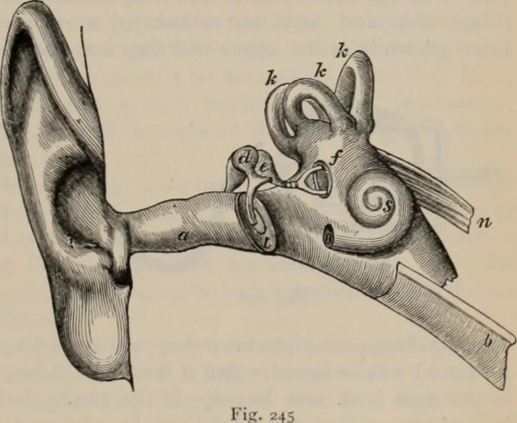 An illustration from Elementary treatise on physics, experimental and applied : for the use of colleges and schools, 1906, leaf 267