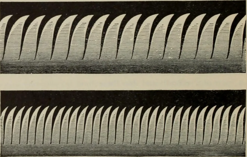 An illustration from Elementary treatise on physics, experimental and applied : for the use of colleges and schools, 1906, leaf 298