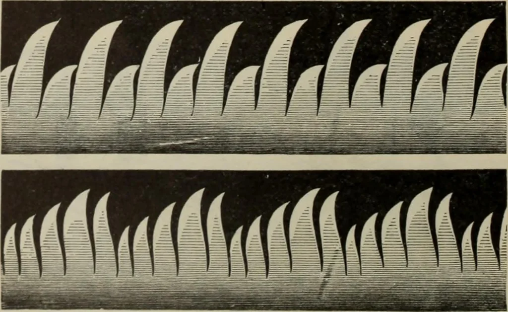 An illustration from Elementary treatise on physics, experimental and applied : for the use of colleges and schools, 1906, leaf 298