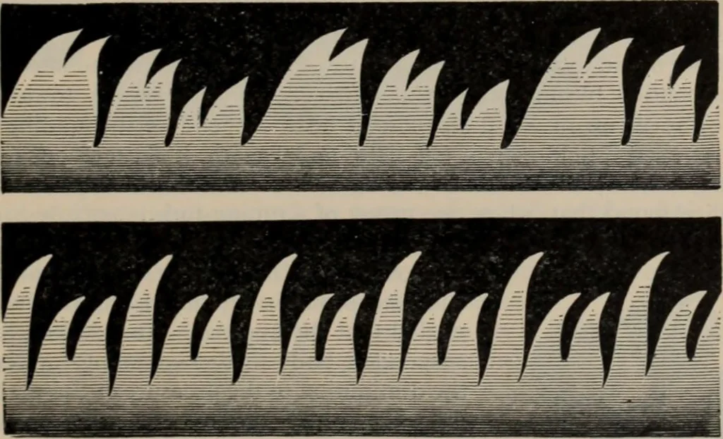 An illustration from Elementary treatise on physics, experimental and applied : for the use of colleges and schools, 1906, leaf 299