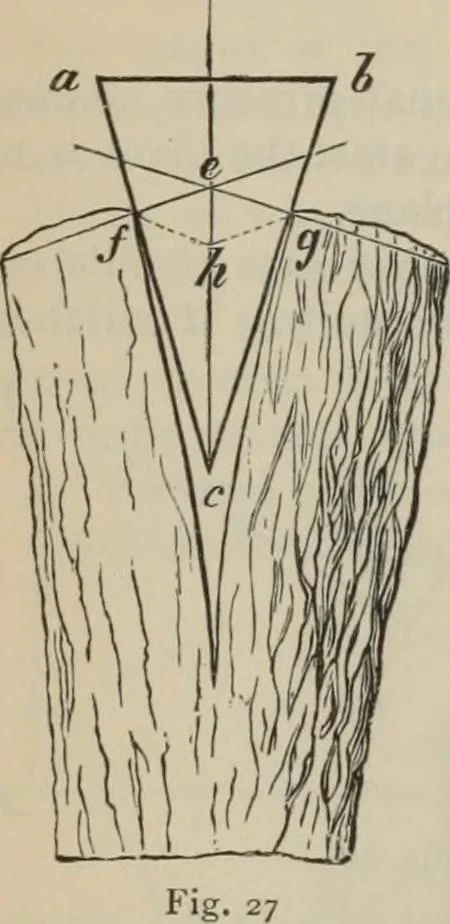 An illustration from Elementary treatise on physics, experimental and applied : for the use of colleges and schools, 1906, leaf 50