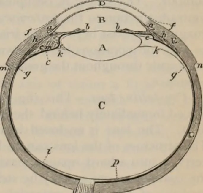 An illustration from Elementary treatise on physics, experimental and applied : for the use of colleges and schools, 1906, leaf 657