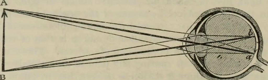 An illustration from Elementary treatise on physics, experimental and applied : for the use of colleges and schools, 1906, leaf 660