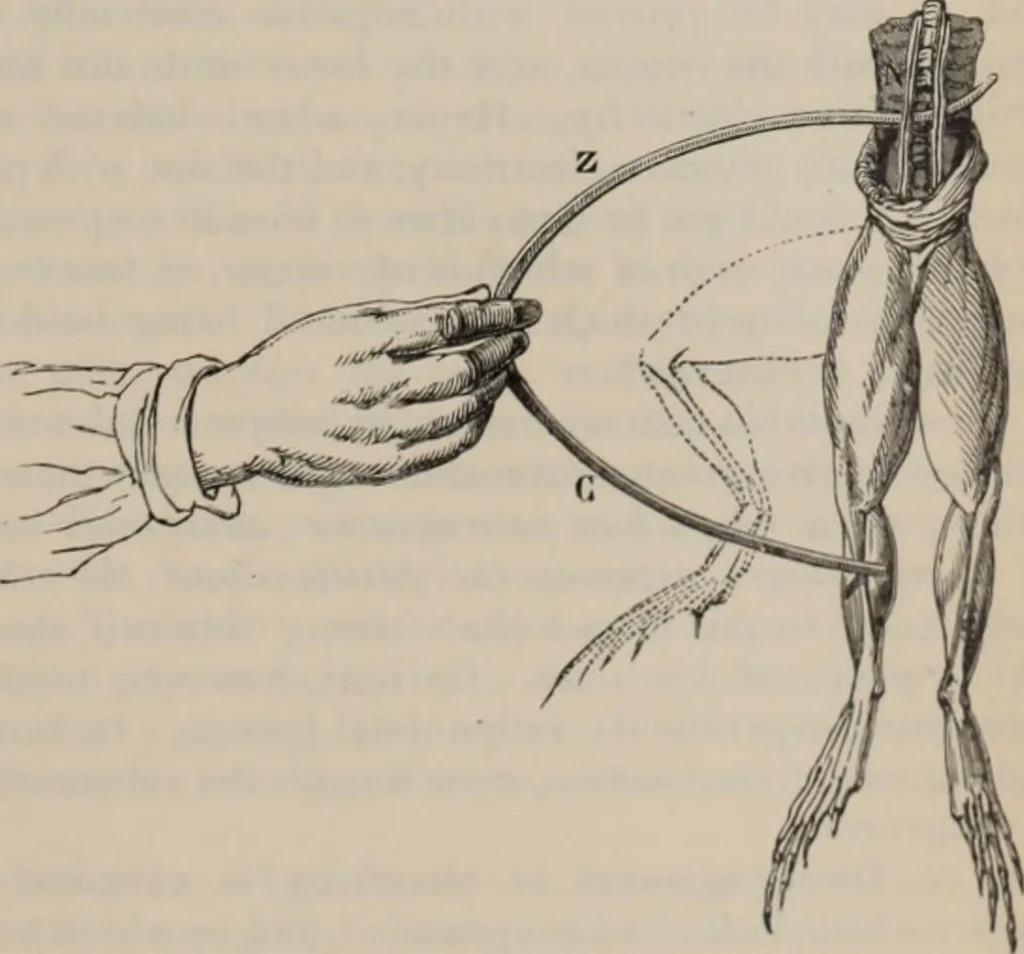 An illustration from Elementary treatise on physics, experimental and applied : for the use of colleges and schools, 1906, leaf 861
