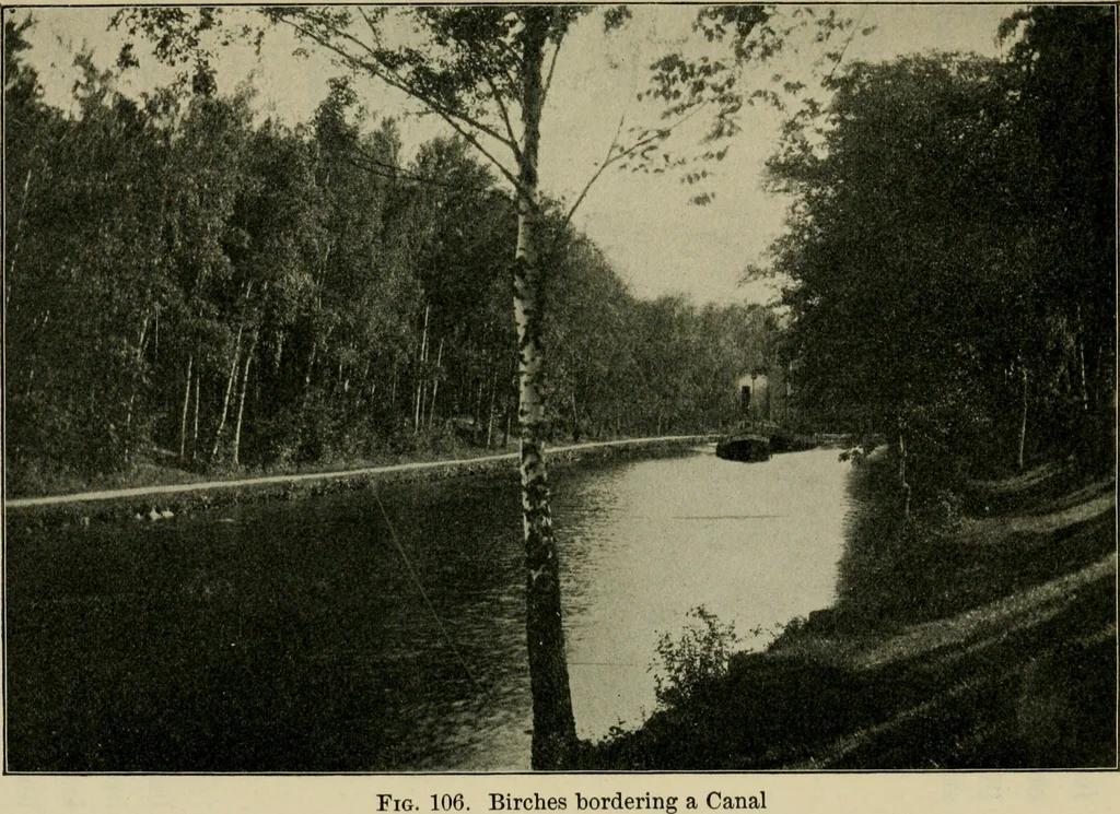 An illustration from Elementary woodworking, 1903, leaf 106