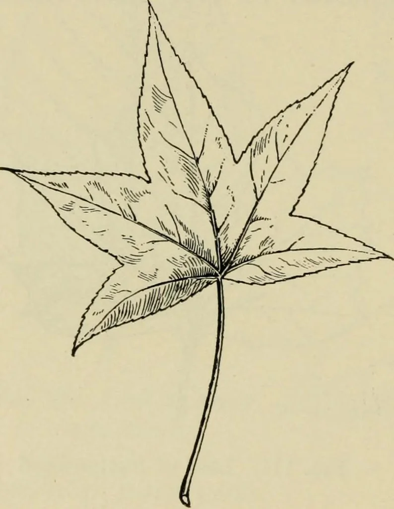 An illustration from Elementary woodworking, 1903, leaf 111