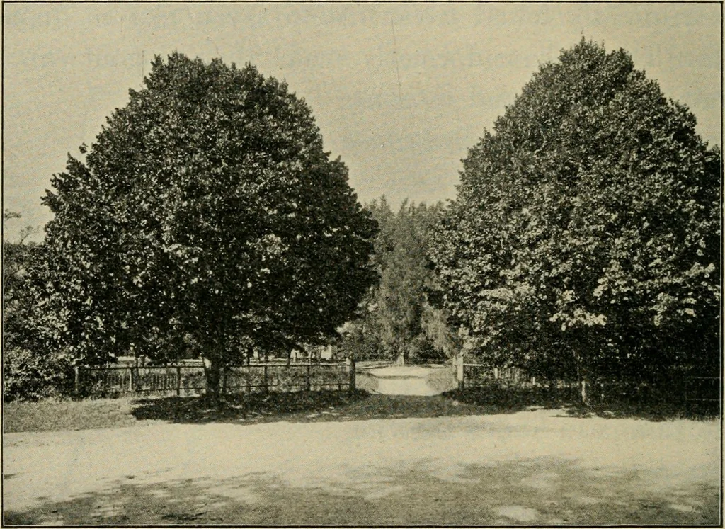 An illustration from Elementary woodworking, 1903, leaf 113
