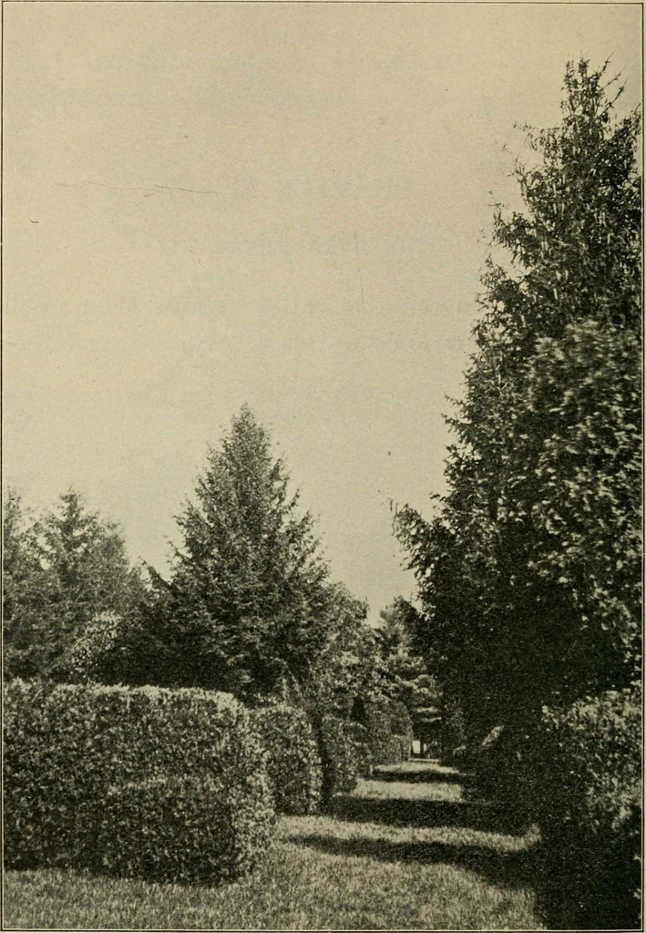 An illustration from Elementary woodworking, 1903, leaf 121