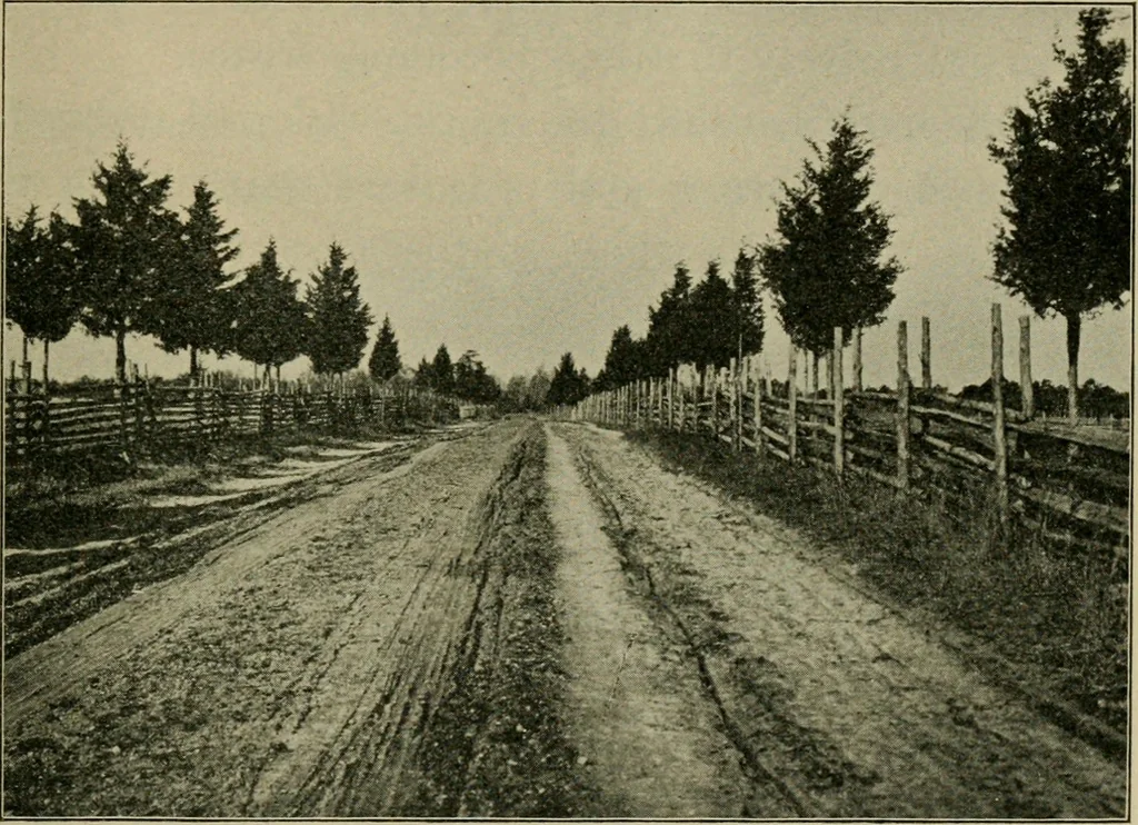 An illustration from Elementary woodworking, 1903, leaf 130