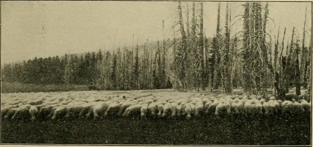 An illustration from Elementary woodworking, 1903, leaf 138