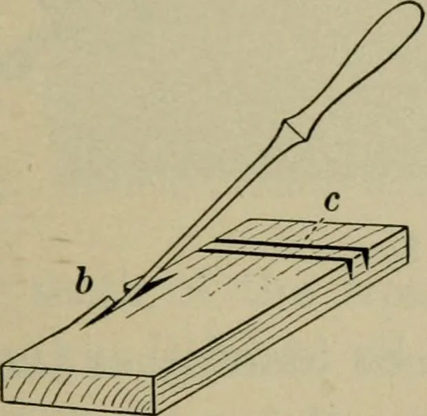 An illustration from Elementary woodworking, 1903, leaf 20