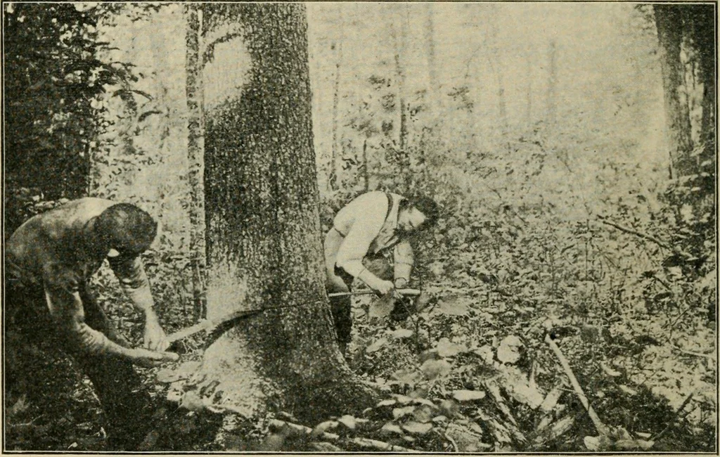 An illustration from Elementary woodworking, 1903, leaf 61