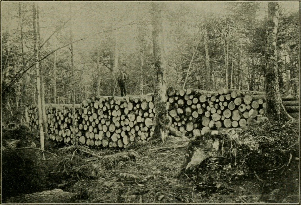 An illustration from Elementary woodworking, 1903, leaf 62